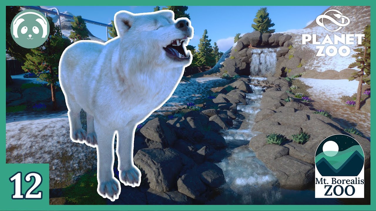 Arctic Wolf Habitat Episode 12 Planet Zoo Franchise Season 3 YouTube arctic-wolf-habitat-episode-12-planet-zoo-franchise-season-3-youtube