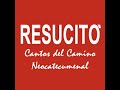 El Mesias, leon para vencer - Kiko (Nuevo Canto de la Convivencia 2014-2015)
