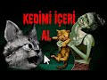 Benim Masum Kedim Var ''BENİ İÇERİ AL''  No I’m Not A Human
