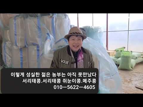 초간단 서리테콩장 만들때 저는 이것을 꼭 넣어서 건강 <strong>콩조림</strong> 해요 30년 씨간장과 이것