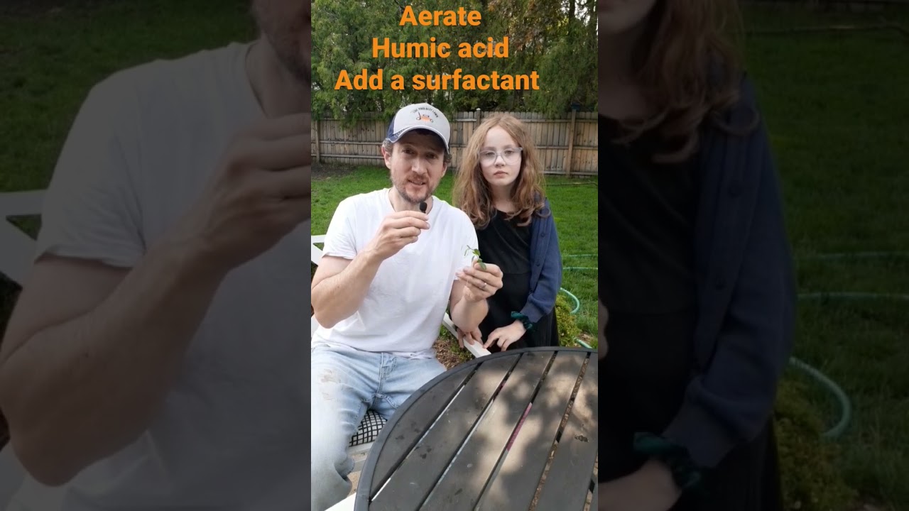 What is that weed? prostrate knotweed 