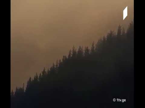 აბასთუმნის ტყეში ვითარება კვლავ რთულია, ხანძრის ლოკალიზება ამ დრომდე ვერ ხერხდება