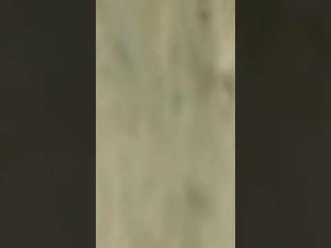 camera iphone 8 plus apk balloon