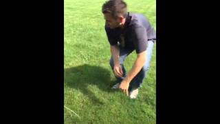 Common Ohio Lawn Problems
