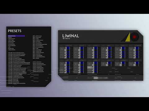 LIMINAL Winds - Quick look at a few Articulations and Presets