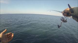 Fishing ultralight catch and release Italia