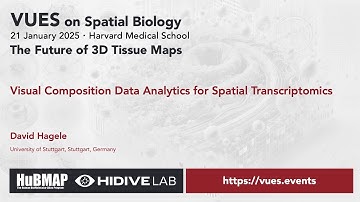VUES on Spatial Biology - January 2025, David Hagele