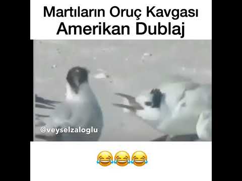 En iyi 10 veysel zaloğlu Amerikan dublaj