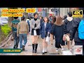 4kr japan travel 2024  walk in harajukutokyo japan   relaxing natural city ambience