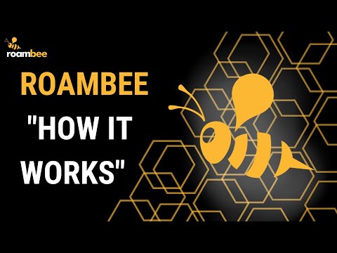 Roambee 