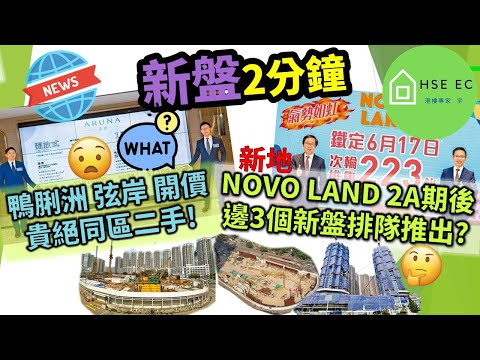 鴨脷洲 弦岸 開價貴絕同區二手 逸南 倚南 深灣軒❗屯門 NOVO LAND 2A期後邊3個新盤排隊推出❓新盤新聞 樓市新聞 新盤 放送 新樓盤 睇 新樓 香港樓市 買樓 睇樓 hseec 港樓專家