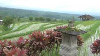 Indonesia - Bali 2014