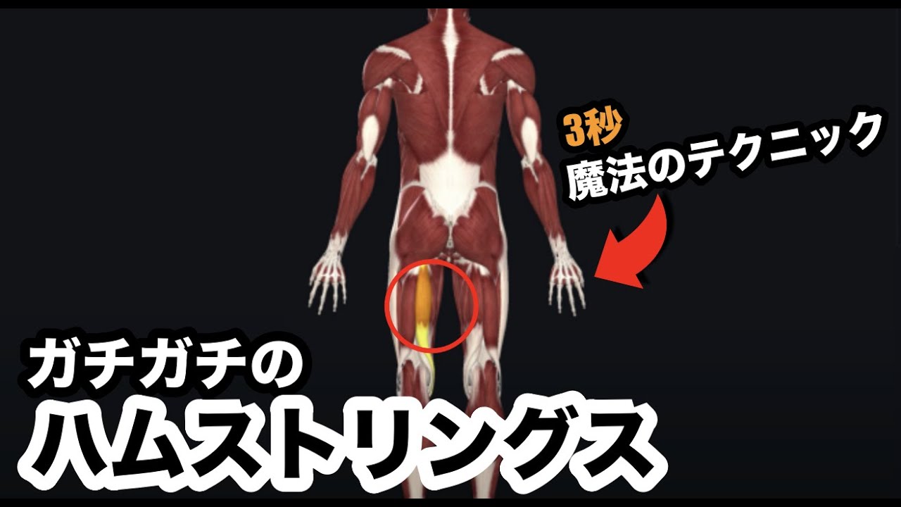 たった３秒！ガチガチのハムストリングスを一発で緩める魔法のテクニック【腰痛 治し方 ストレッチ】How to loosen hamstrings