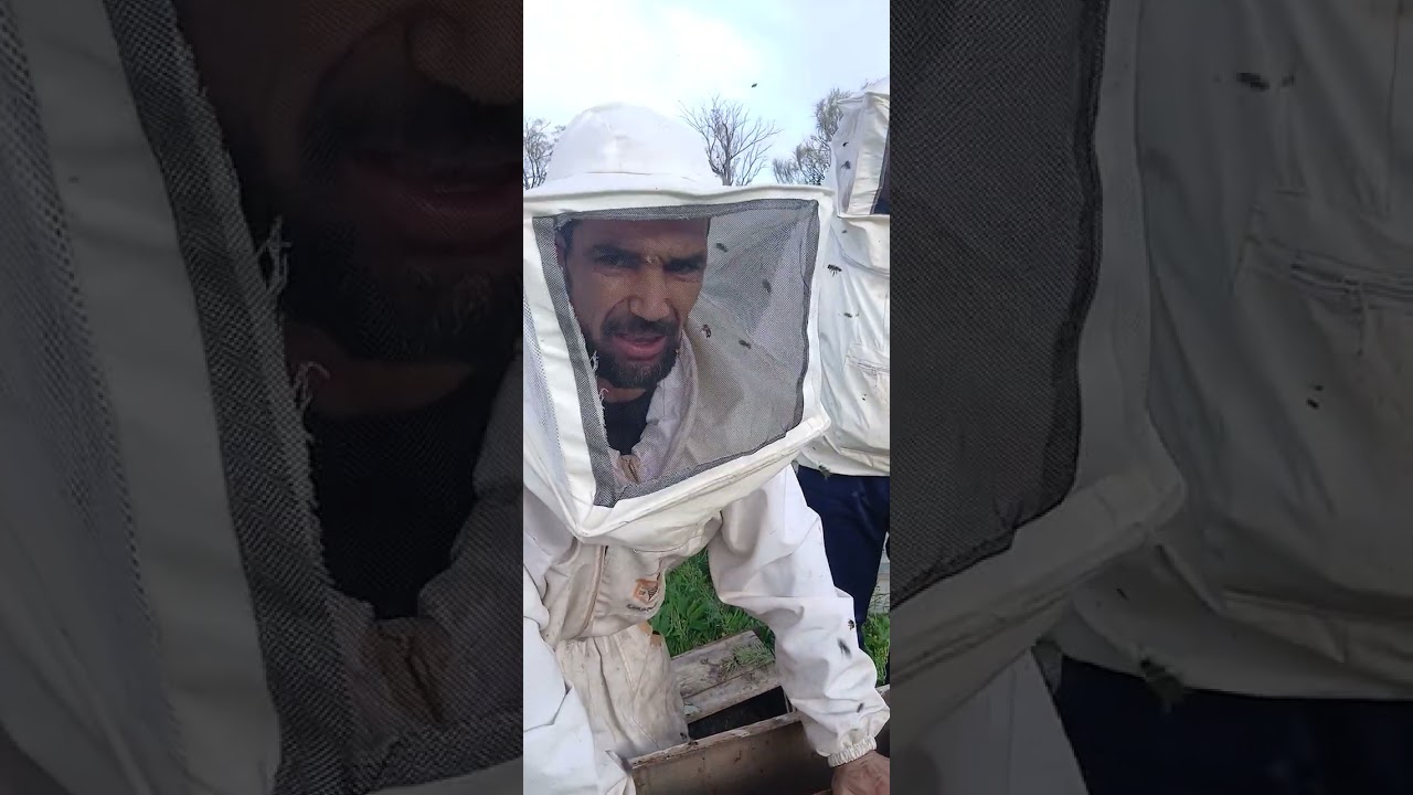 طريقة تقسيم في نفس المكان 