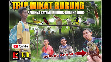 PART I : TRIP MIKAT BURUNG KETEMU BURUNG-BURUNG UNIK