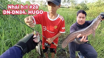 Câu Cá Lóc Bằng Nhái Hơi P28.Test Thực Tế Mẩu Nhái Hơi DN84 .DN Đồ Câu Đại Ngáo| Đại Ngáo Vlog