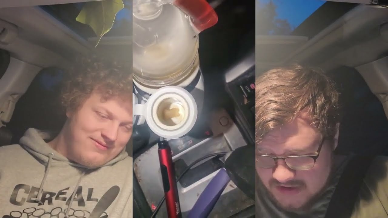 3 Different Michigan Tally Mon Dabs