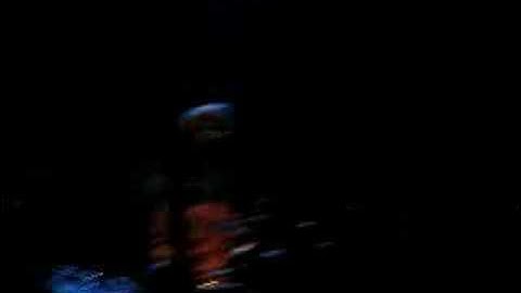 Andrew Bird at the 9:30 Club "Dr. Stringz"