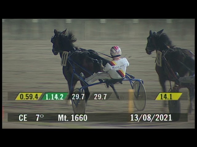 2021 08 13 | Corsa 7 | Metri 1660 | Premio Concorso Enologico Vino Del Tribuno