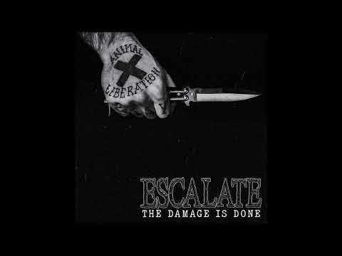 Escalate - The Damage Is Done 2022 (Full EP)