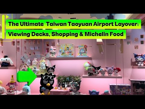 The Ultimate Taiwan Taoyuan Airport Layover: Viewing Decks, Shopping & Michelin Food