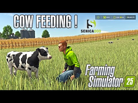 FS25: Perfect Cow Feeding with TMR Mix !