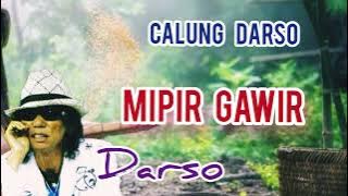 MIPIR GAWIR  -  DARSO #calungsunda #calungdarso @Kangdedicosmo