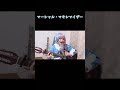 マーシャル・マキシマイザー/柊マグネタイト 弾き語りcover