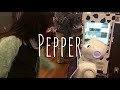 嘘とカメレオン チャムとPepper