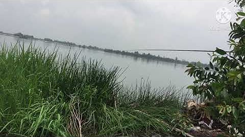 Câu cá lòng tong hầm đức hoà ngày 9 tháng 10, 2020