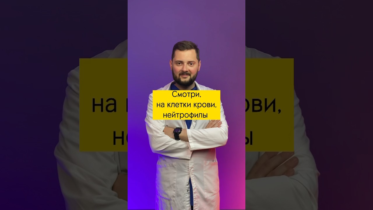 Нейтрофилы - клетки крови, наши защитники, они борются с бактериями! #кровь #нейтрофилы