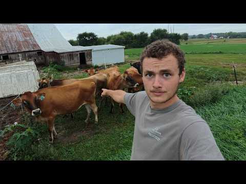Fink Family Farm Updates! September 2026