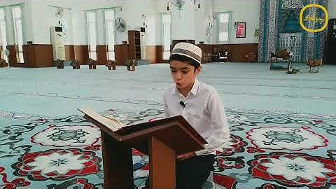 سورة نبأ (كاملة). أداء جميل و سريع. للقارئ محمد الكردي حفظه الله.