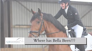 Rehabbing a Stifle injury | Bella | SJB Equanimity