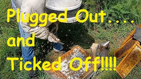 Plugged Out/Ticked Off Bee Hive!!!