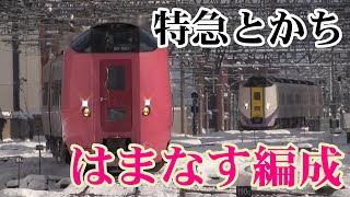 キハ261系5000番台「特急とかち」　キハ183系特急オホーツクとの並びも！