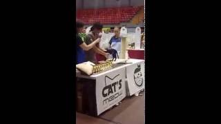 WCF International Cat show - Cat's MEOW, Jelgava 2016.05.04 by Bomambero Bombay cats 38 views 7 years ago 1 minute, 49 seconds