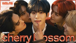 ❏ CRAVITY - Cherry Blossom ➫ Line Distribution / Color Coded