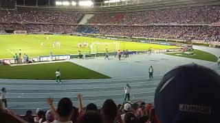 Vamos Tiburon, Queremos La Copa-Frbs.