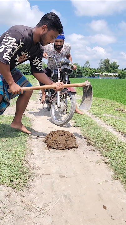 The boy went down to the street and removed the dung 12