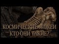 КОСМИЧЕСКИЕ ЖОКЕИ (КТО ОНИ?)