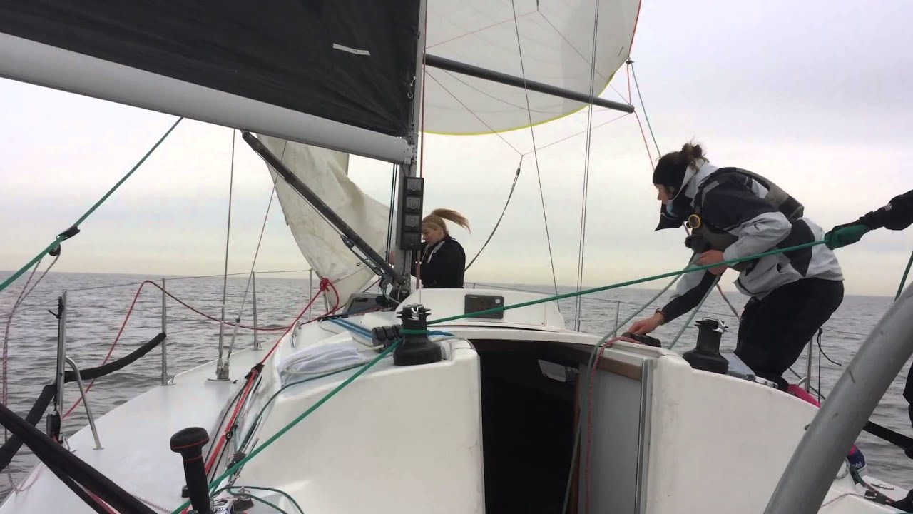 Drop Team Heiner Pups.