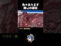 知られざる鯨の部位（2） 焼肉用ハラミ・『さらし鯨』になる尾羽 etc.