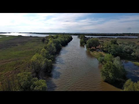 Рыбалка в Астрахани Вобла  2023 затопленные леса и поля 4 к