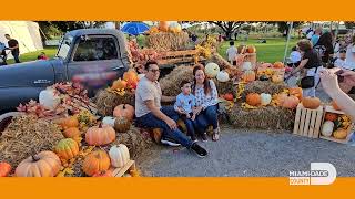 Miami-Dade Animal Services' Mega Pubtoberfest