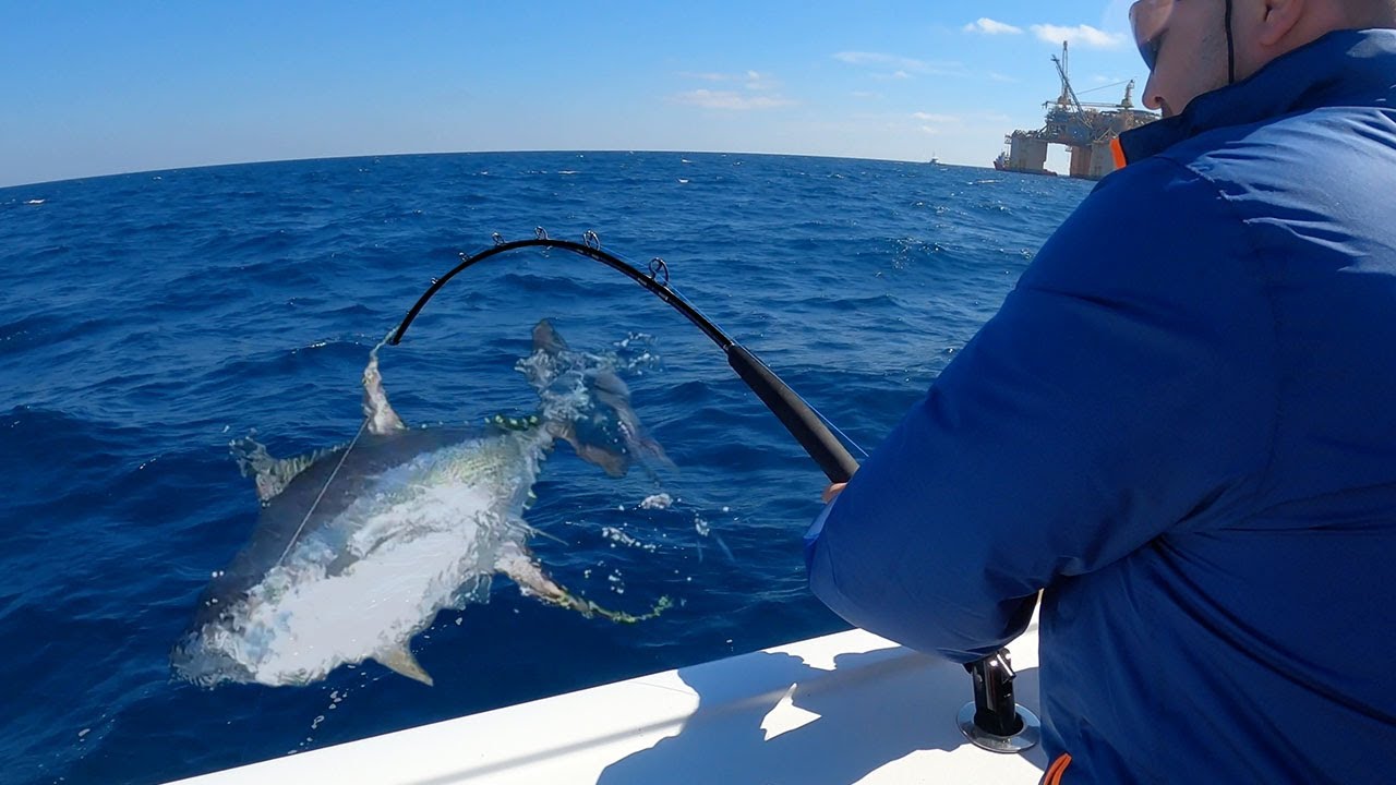 Can YOU Fish Better than the Average Fisherman? It Took *8 OF THEM* to Defeat this Fish
