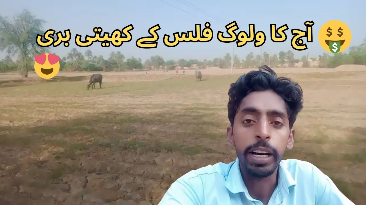 aaj ka vlog falsa ke kheti Bari