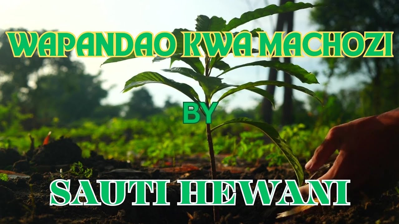 Sauti Hewani -  Wapandao Kwa Machozi (Visualizer)
