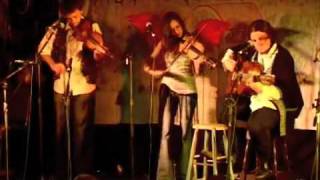 The Gypsy Hot Club... Profile