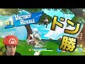 #15.アリーナソロ!ピョンテリーヌVictoryRoyale★☆LIVEMEMORY